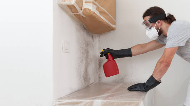 Professional Bathroom Mold Removal technician working in Belleville, IL