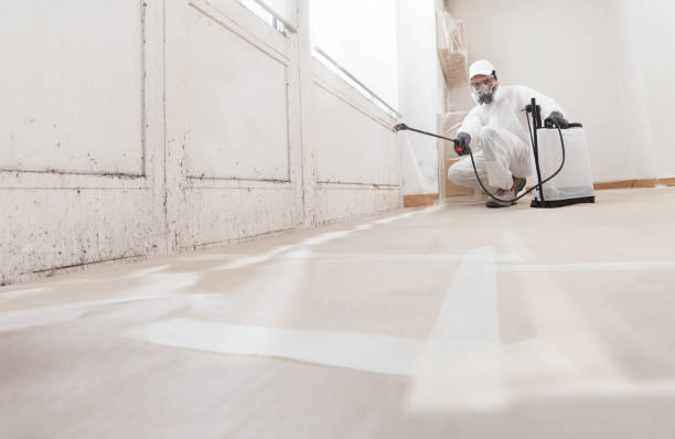 24/7 Emergency Bathroom Mold Removal experts in Belleville, IL