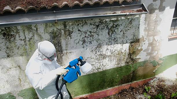 Top rated local Bathroom Mold Removal specialists in Belleville, IL